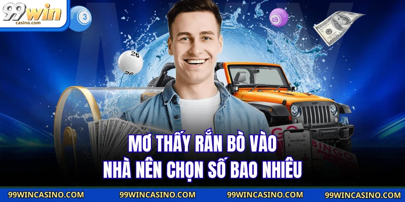 Nằm Mơ Thấy Rắn - Hé Lộ Con Số May Mắn Trong Đời Bạn 4 Mơ thấy rắn bò vào nhà nên chọn số bao nhiêu